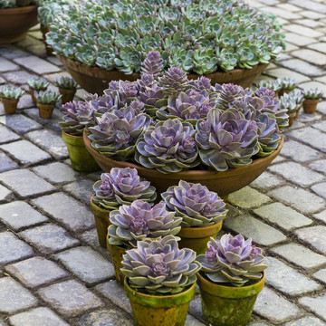 Csm 20110819Wf9r0367 984Daa1a87