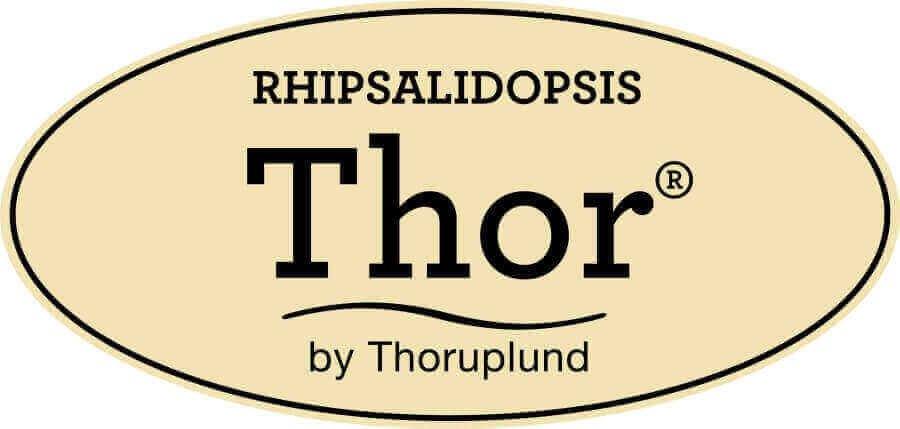 Rhipsalidopsis Thor Logo